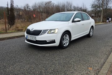 Skoda Octavia III 1.6 TDI / DSG / PL Salon / 1 Właściciel